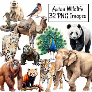 アジアの動物野生動物水彩画クリップアートデジタルダウンロード、インド、日本、中国、ベトナムの動物32種、孔雀、トラ、パンダ、ゾウ