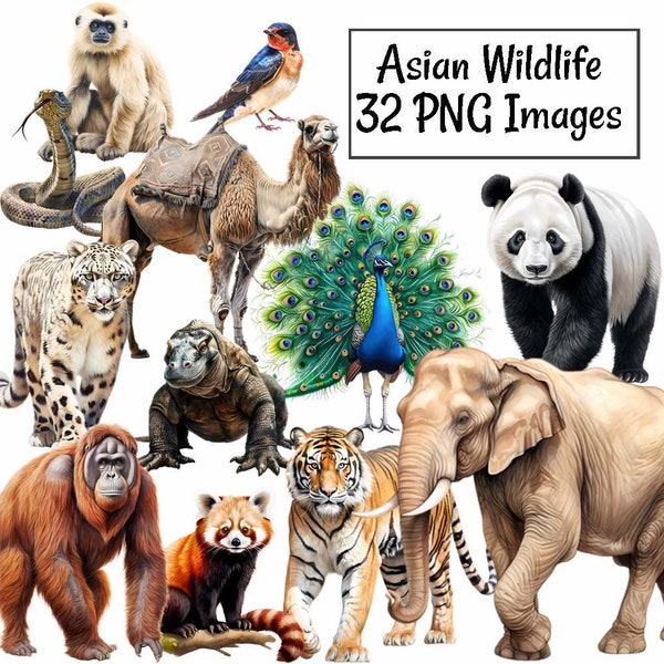 Asiatische Tiere Tierwelt Aquarell Clipart digitale Downloads, 32 Fauna Kreaturen Indien Japan China Vietnam Pfau Tiger Panda Elefant