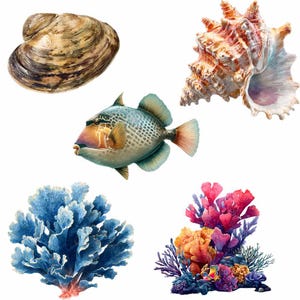 Sea life Clipart Whale Digital Downloads Shark art Animal Watercolor Ocean Marine Creatures Octopus illustrations sealife artwork coral image 7