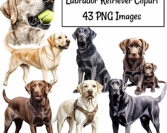 Labrador Retriever Clipart Aquarell digitale Downloads, Portrait Hund Lab Clipart transparenten Hintergrund Welpen gelb schwarz Schokolade