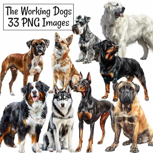 Working Dogs Watercolor Clipart Digital Downloads, 33 Dog Animal AKC Group Guard Dog Breeds, Sled Dogs Transparent background PNG Images
