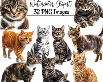 Tabby Cat Clipart Domestic Shorthair Cat Watercolor Kitten Digital Downloads Moggy House Cat Orange Tabby Transparent Background