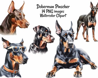 Dobermann Pinscher Dobie aquarel digitale downloads, 14 sublimatie Dobermann Dobe zwart rode hond clipart, transparante achtergrond overlay