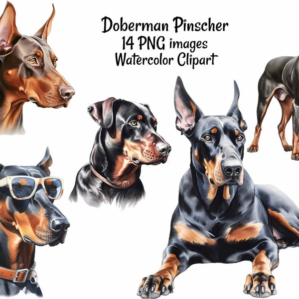 Doberman Pinscher Dobie Watercolor Digital Downloads, 14 Sublimation Dobermann Dobe Black Red Dog Clipart , Transparent Background Overlay