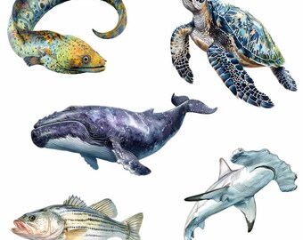 海の生物 クリップアート クジラ デジタルダウンロード サメのアート
