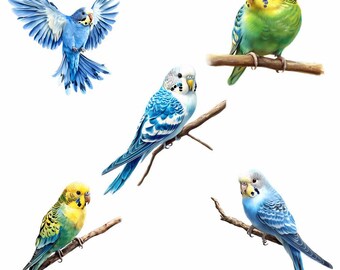 【真作】絵画　水彩　セキセイインコ　ペア　二羽の小鳥　青と緑のインコ　Y185 il_340x270.6673360759_a3ev.jpg