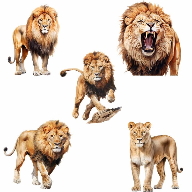 May include: Five lions, including a lioness, are depicted in a watercolor painting. The lions are shown in various poses, including standing, walking, and roaring. The lions are all brown and have a mane of hair around their heads.