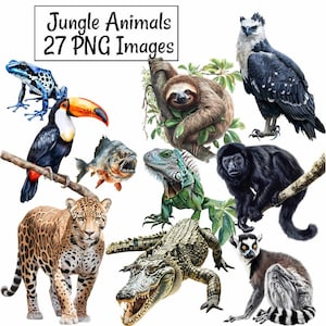 27 Dschungeltiere Clipart, 27 Amazonas Südamerika Wildtiere Aquarell Digitale Downloads, Fauna Regenwald Jaguar Capybara Faultier Ara Leviana