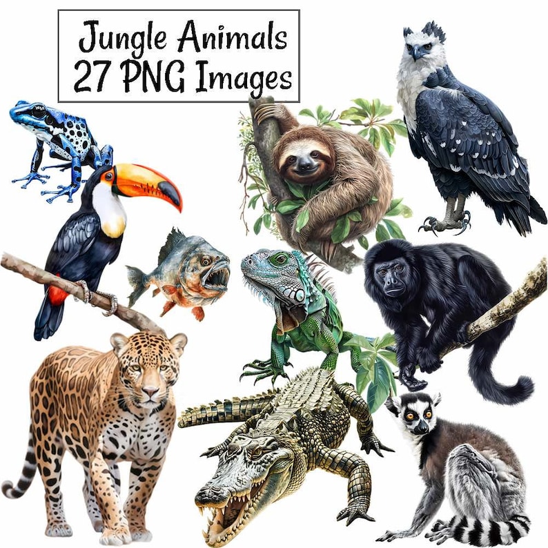 May include: A collection of 27 jungle animal illustrations, including a toucan, sloth, jaguar, lemur, iguana, crocodile, fish, and a black and white bird. The illustrations are in a realistic style and are perfect for use in crafts, scrapbooking, or digital projects.