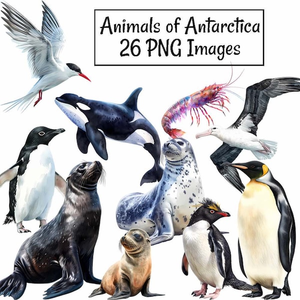 Imágenes prediseñadas de animales de la Antártida, 22 descargas digitales de acuarela, vida silvestre, glaciar de hielo del Polo Sur, pingüino de nieve, ballena, foca, albatros