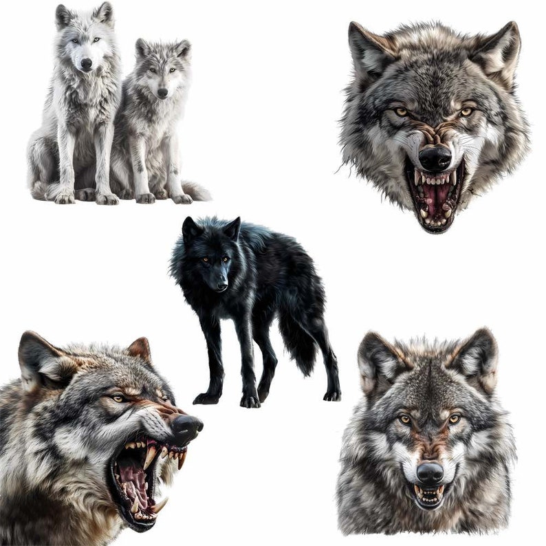 May include: Five wolves with different fur colors and expressions. Two white wolves are standing side by side, one black wolf is standing, and two gray wolves are shown with their heads facing forward. All wolves have sharp teeth and are looking directly at the viewer.