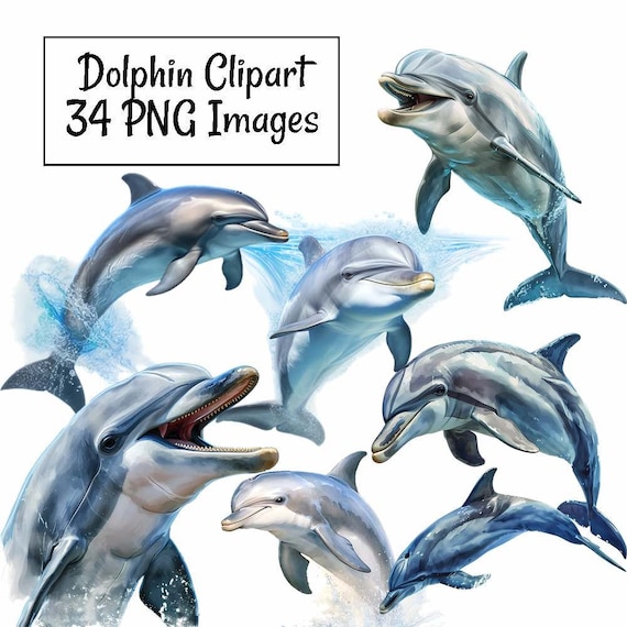 Dolphin Watercolor Clipart, 34 Ocean Transparent Background Digital Downloads,  Sea Life Marine Animal Sea High Quality Overlay
