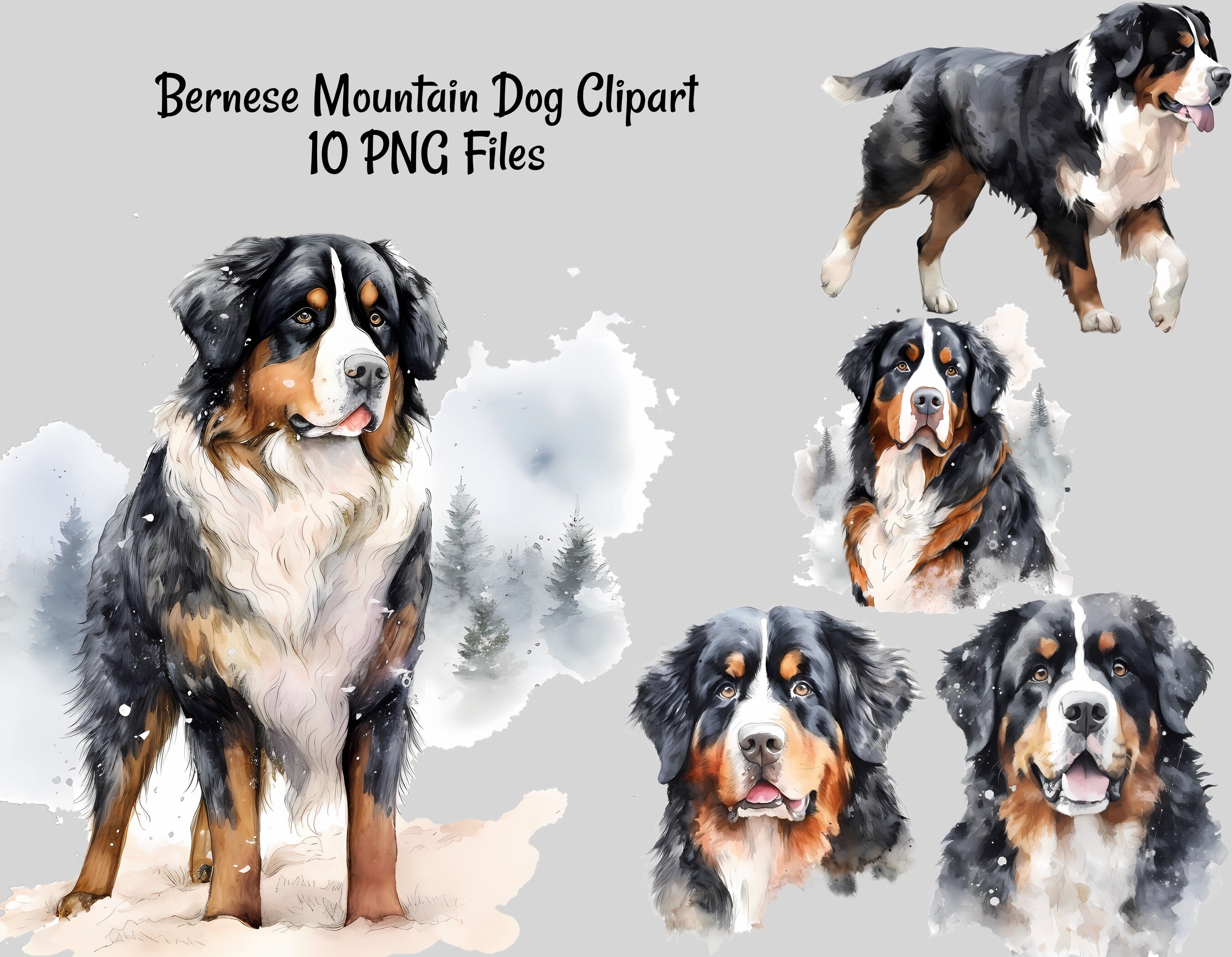 Bernese Mountain Dog Watercolor Digital Downloads, 10 Overlay ...