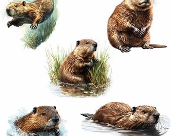 ビーバーの水彩画クリップアート 野生動物 齧歯動物 池のアート 川 北