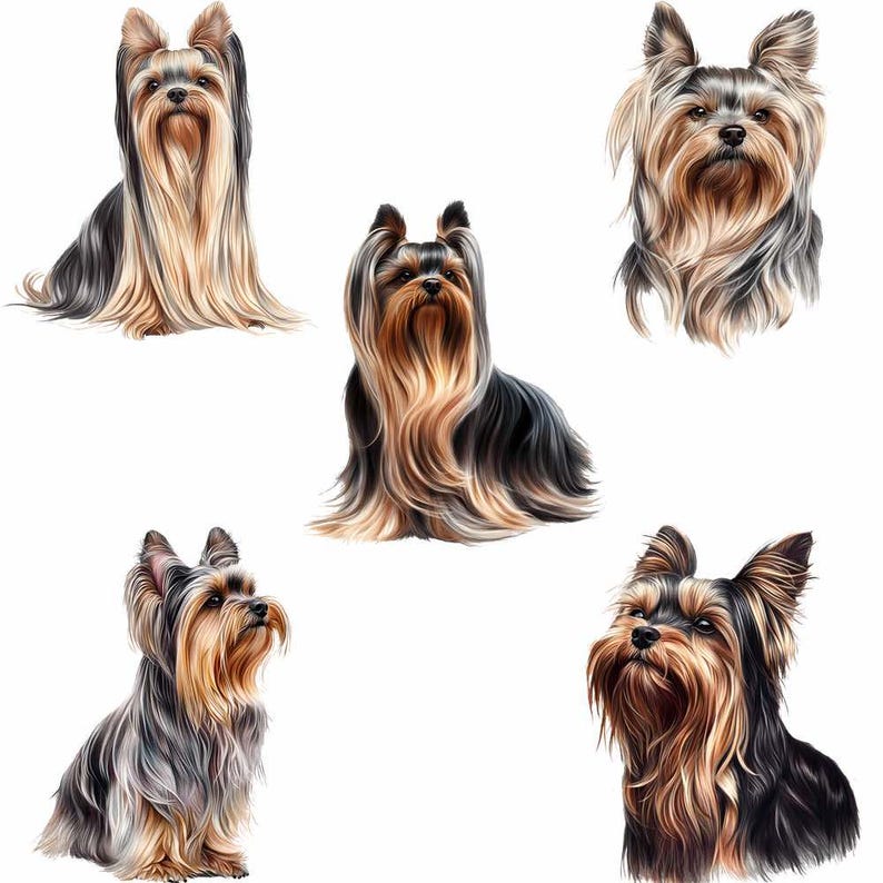Yorkshire Terrier Clipart, 29 Yorkie Watercolor Digital Downloads,puppy ...