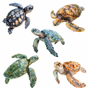 May include: Five sea turtles swimming in different directions. The turtles are all different colors, including green, blue, brown, and orange. They have black eyes and flippers.