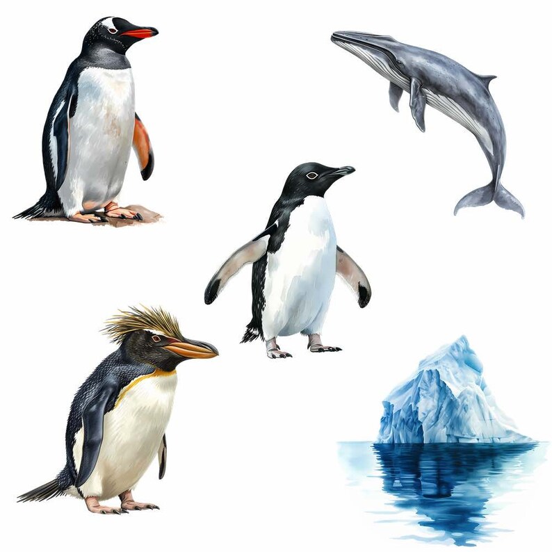 May include: A watercolor illustration of an iceberg floating in blue water, surrounded by three penguins and a whale. The penguins are black and white with orange beaks, and the whale is gray with a white underside.
