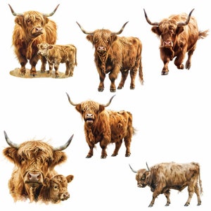 K&ouml;nnte beinhalten: Sechs schottische Hochlandrinder, eine Rinderrasse, die f&uuml;r ihr langes, zotteliges Fell bekannt ist, sind in dieser Illustration dargestellt. Die Rinder sind in verschiedenen Posen dargestellt, darunter stehend, gehend und liegend. Die Rinder sind alle braun und wei&szlig; gef&auml;rbt und haben lange H&ouml;rner.