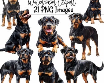 Rottweiler Aquarell Clipart Digitale Downloads Sublimation Hund Clipart Hunderasse Rottie Kunst Illustration Rottweiler Haustier Hund