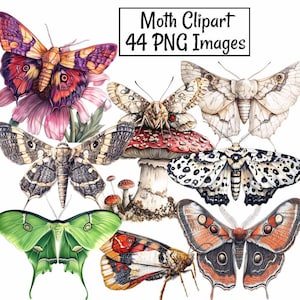 May include: A set of 44 digital illustrations of moths in various colors and patterns, including a green moth, a white moth, a black and white moth, a red and orange moth, and a brown and black moth. The moths are depicted against a white background. Moth Clipart 44 PNG Images.