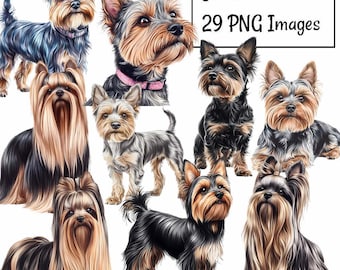 May include: A collection of 29 digital images featuring Yorkshire Terriers in various poses. The dogs are depicted in a realistic style with detailed fur and expressions. The images are perfect for use in crafts, scrapbooking, or digital design projects.