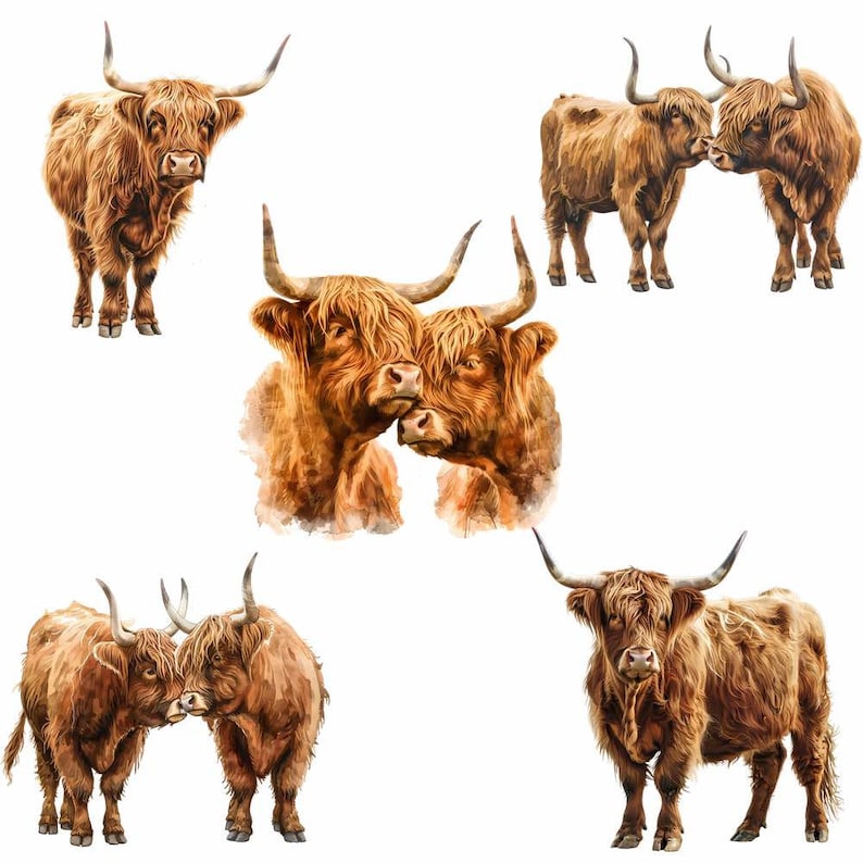 K&ouml;nnte beinhalten: F&uuml;nf schottische Hochlandrinder, auch bekannt als Highland Cattle, sind in einem Aquarell dargestellt. Die Rinder sind braun und haben langes, zotteliges Fell. Einige der Rinder schauen den Betrachter an, w&auml;hrend andere sich gegenseitig ansehen. Die Rinder sind vor einem wei&szlig;en Hintergrund platziert.