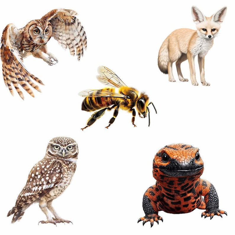 May include: A collection of five animal illustrations featuring a brown owl in flight, a standing fennec fox with large ears, a central honey bee, a perched brown spotted owl, and a textured orange and black Gila monster lizard on a white background.