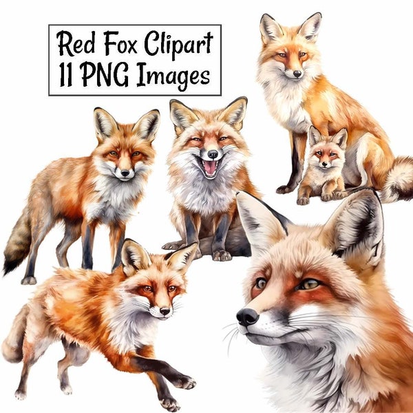 Rotfuchs Waldtier Aquarell digitale Downloads, 11 Designs Wildtier Wald Overlay Clipart, transparenter Hintergrund, Kunstdrucke