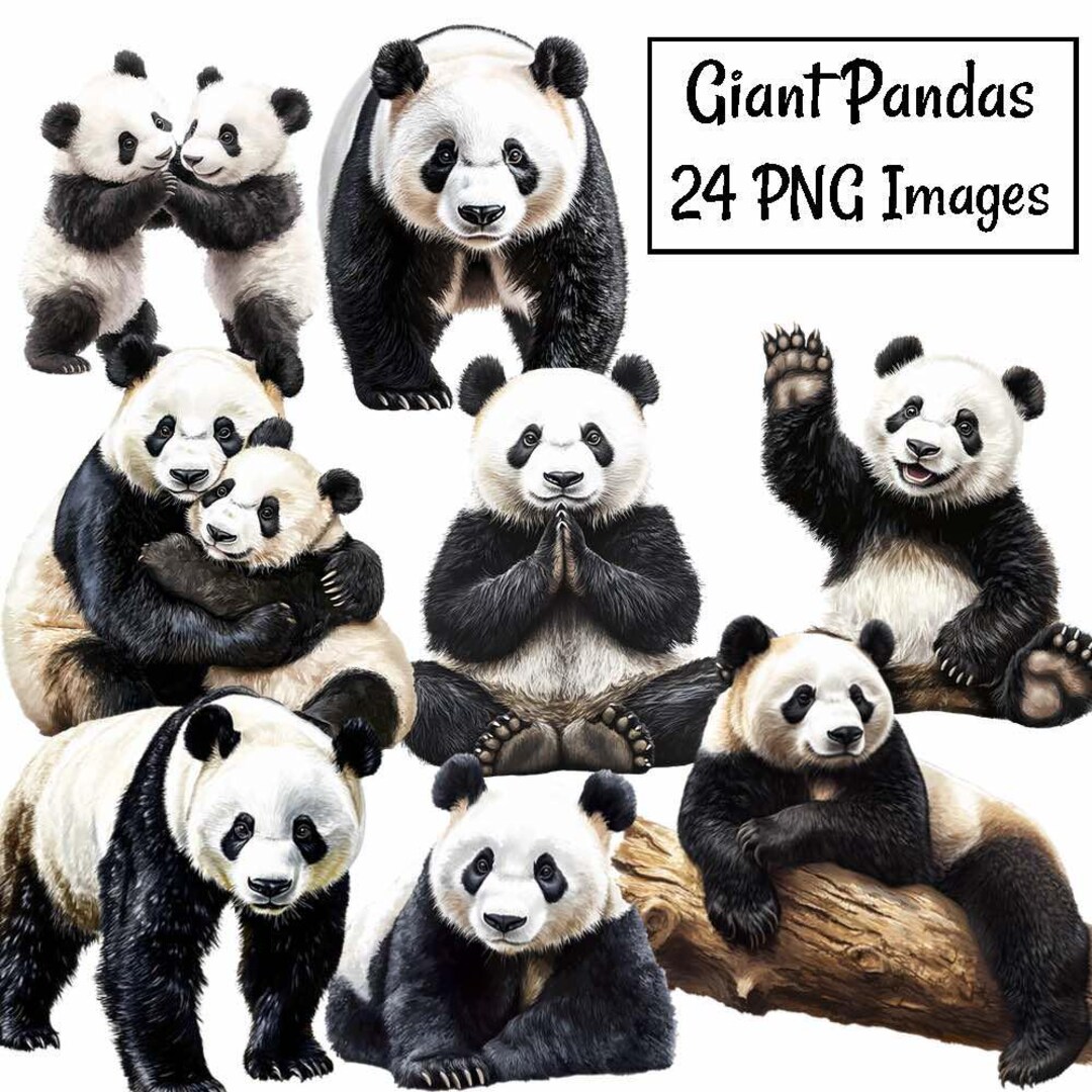 Giant Panda Clipart , 24 Panda Bear Watercolor Animal Digital Downloads ...
