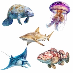 Sea life Clipart Whale Digital Downloads Shark art Animal Watercolor Ocean Marine Creatures Octopus illustrations sealife artwork coral image 6