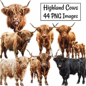 Highland Cow Watercolor Digital Downloads Clipart  Hairy Scottish Cow Farm Animal Prints High Quality Overlay, Commercial use