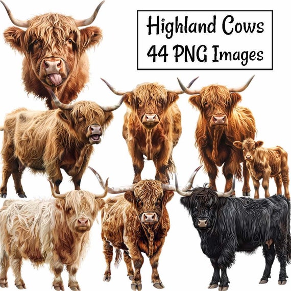 Highland Cow Watercolor Digital Downloads Clipart  Hairy Scottish Cow Farm Animal Prints High Quality Overlay, Commercial use
