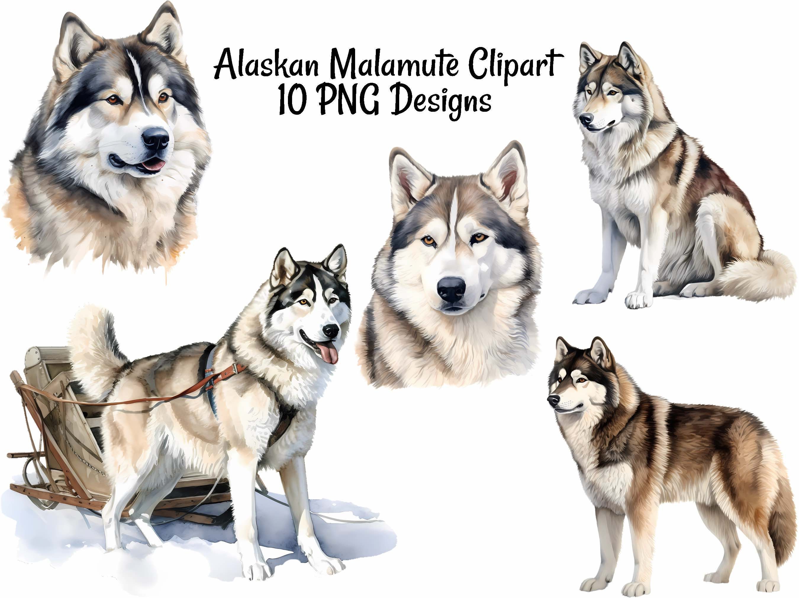 Sled Dogs Clip Art