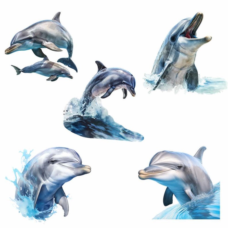 May include: Five dolphins leaping and swimming in blue water. The dolphins are gray and white with black eyes. The water is a light blue with white foam.