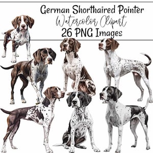 German Shorthaired Pointer Watercolor Clipart Dog Breed Art Pointer Illustrations Digital Download German Shorthaired Pointer Puppy