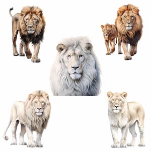 May include: Five lions, two with brown fur and three with white fur, are depicted in a digital illustration. The lions are facing forward with their heads held high. The lions are set against a white background.