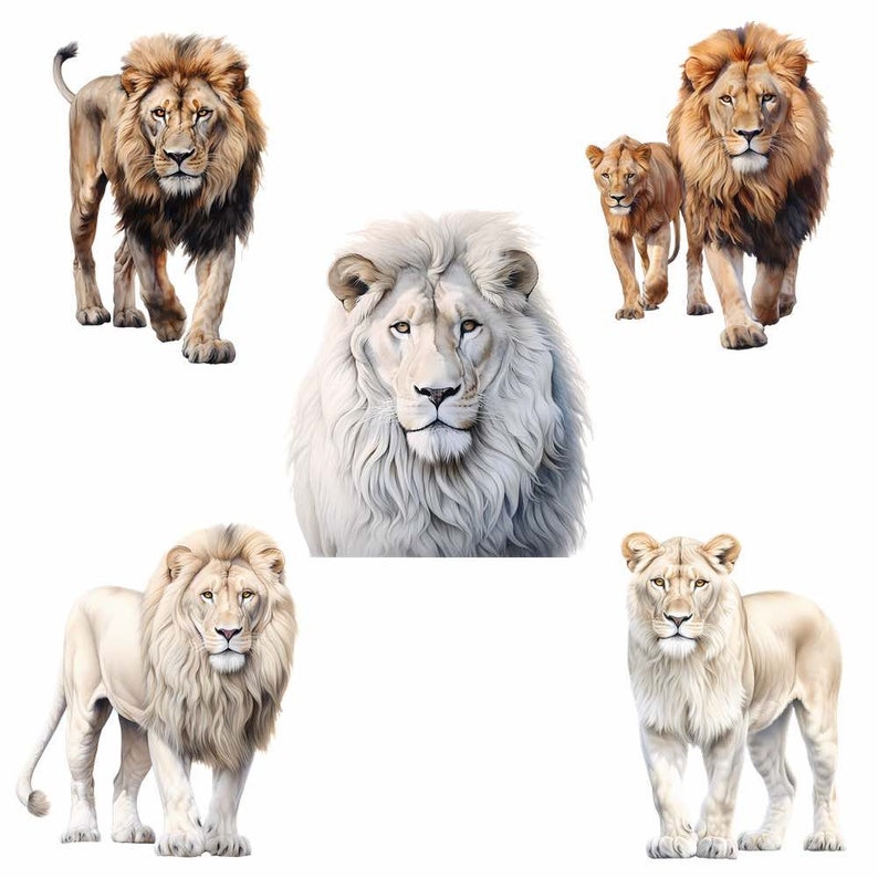 May include: Five lions, two with brown fur and three with white fur, are depicted in a digital illustration. The lions are facing forward with their heads held high. The lions are set against a white background.
