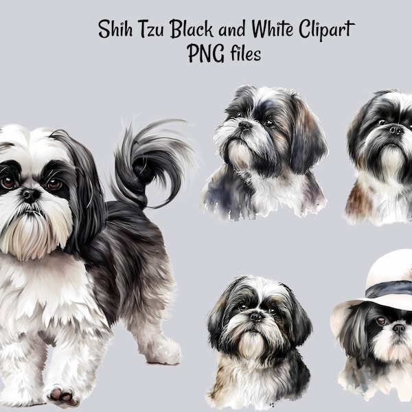 Shih Tzu Black White Cute Watercolor Digital Downloads, 10 Sublimation Dog Clipart , Transparent Background, Art Prints, Shirts, Stickers