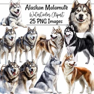Alaskan Malamute Dog Watercolor Digital Downloads, 25 Overlay Husky Snow Sled Dog Sublimation Dog Clipart , Transparent Background