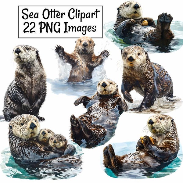 Sea Otter Wildlife Watercolor Clipart Transparent Background Digital Downloads, 13 Otter Sea Life Alaska Marine Animal High Quality Overlay