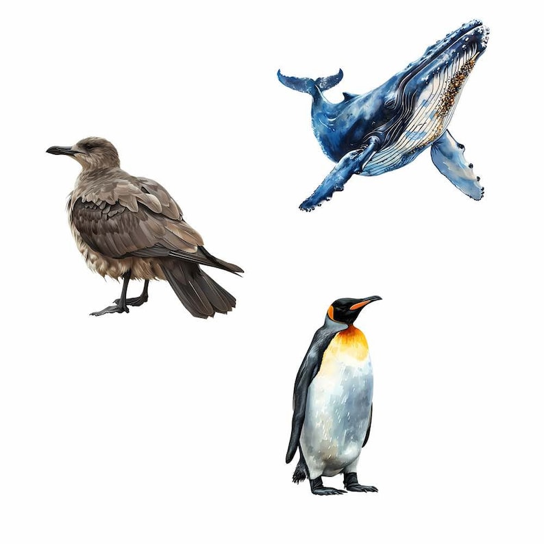 May include: A watercolor illustration of three animals: a brown and gray seabird, a blue whale, and a black and white king penguin.
