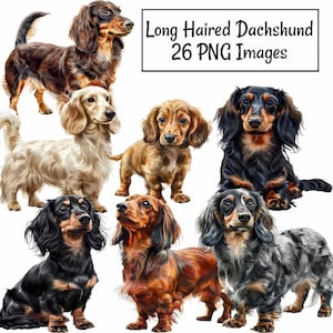 Dackel Clipart digitale Downloads, 26 Doxie langhaarige Dackel Wurst Dachs Hunderasse, Welpe Hound Tier transparenten Hintergrund