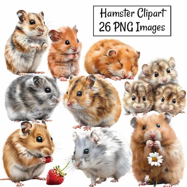 Hamster Clipart, Watercolor Digital Downloads, 26 Rodent Pet Animal Wildlife Cute , Golden Dwarf Chinese Syrian Winter white PNG Images