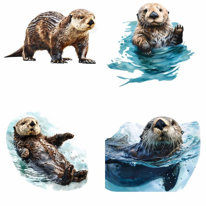 May include: Four images of sea otters in different poses. One otter is standing on land, while the other three are swimming in the water. The otters are brown and have white fur on their chests. The water is blue and green.