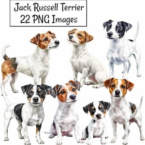 Può includere: Una collezione di 22 immagini digitali che mostrano Jack Russell Terrier in varie pose. Le immagini sono in formato PNG e sono perfette per progetti di artigianato, scrapbooking o design digitale.