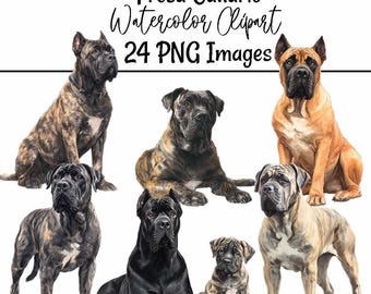 Presa Canario Clipart Dog Watercolor Mastiff Images Spanish Dog Breed Illustrations Animal Art Puppy Digital Download Perro