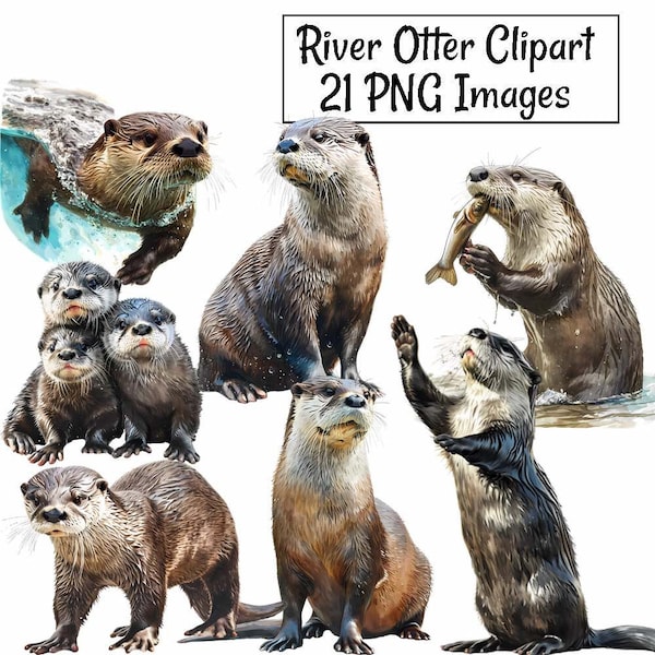 River Otter Watercolor Clipart Digital Downloads, 21 Baby Otter Mammal Water Woodland Animal Overlay  Transparent Background, Commercial Use