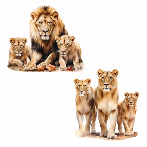 May include: A watercolor painting of two groups of lions. The first group shows a male lion with two lionesses. The second group shows a lioness with two cubs. All the lions are looking directly at the viewer.