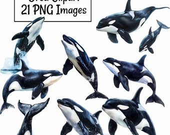 Orca Watercolor Clipart Digital Downloads, 21 Killer Whale Sea Life Ocean Whale, Wildlife Alaska Arctic Animal Transparent Background