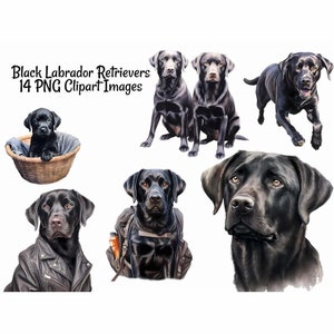 Black Labrador Retriever Portrait Digital Downloads, 14 Lab Puppy Dog Clipart ,Transparent Background, Art Prints, Shirts, Stickers
